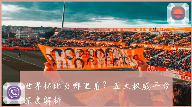 世界杯比分哪里看？五大权威平台深度解析