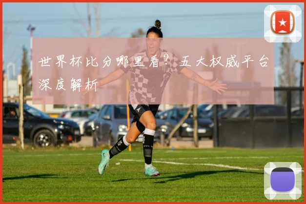 世界杯比分哪里看?五大权威平台深度解析