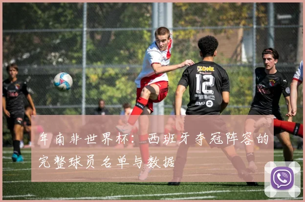 年南非世界杯:西班牙夺冠阵容的完整球员名单与数据