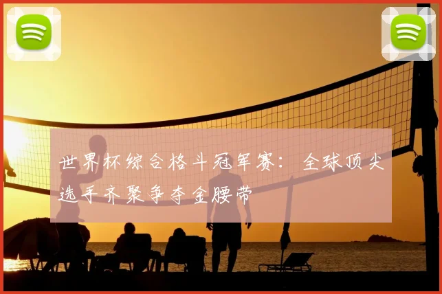 世界杯综合格斗冠军赛：全球顶尖选手齐聚争夺金腰带