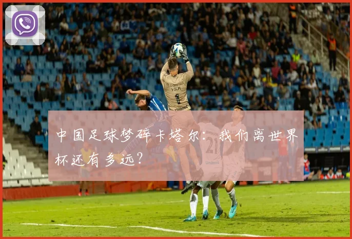中国足球梦碎卡塔尔：我们离世界杯还有多远？