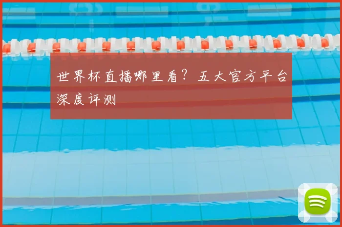 世界杯直播哪里看?五大官方平台深度评测
