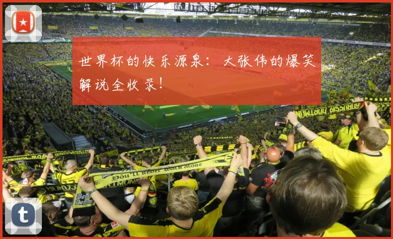 世界杯的快乐源泉:大张伟的爆笑解说全收录!