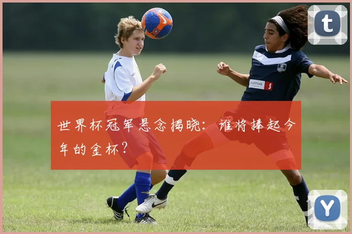 世界杯冠军悬念揭晓:谁将捧起今年的金杯?