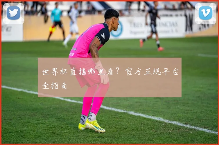 世界杯直播哪里看?官方正规平台全指南